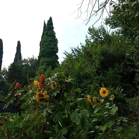 With One Bedroom In Corfu, With Enclosed Garden And Wifi - 3